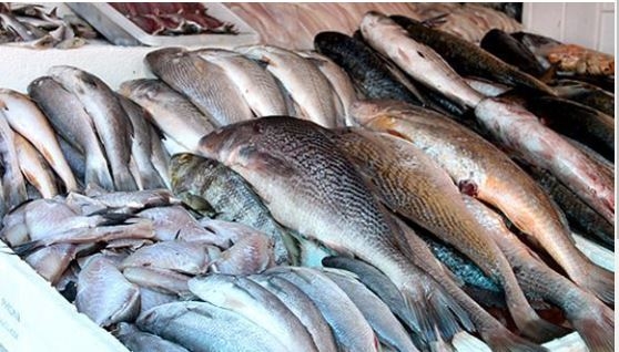 Pesquisa do Procon Natal encontra reajuste no preço do pescado em relação ao ano passado