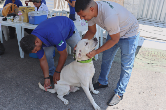 Pets tem acesso a serviços gratuitos em ação da Prefeitura do Natal neste sábado (26)
