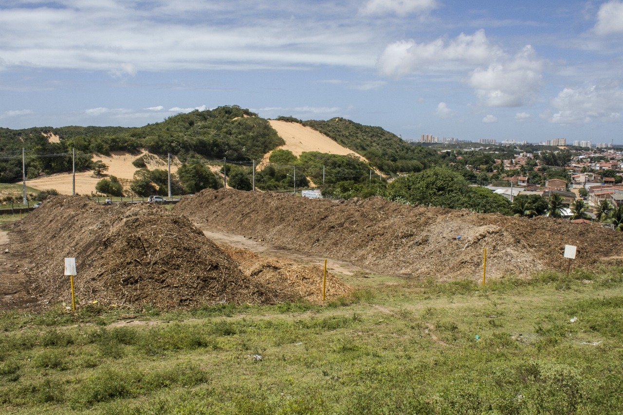 Prefeitura vai adubar canteiros com compostagem de podas