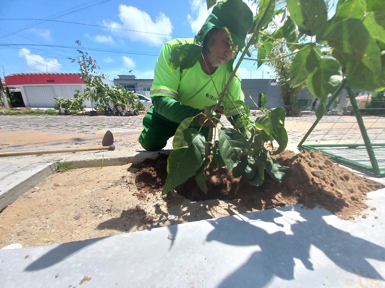 “Planta Natal” realiza plantio de 50 mudas de árvore na Av. Amintas Barros