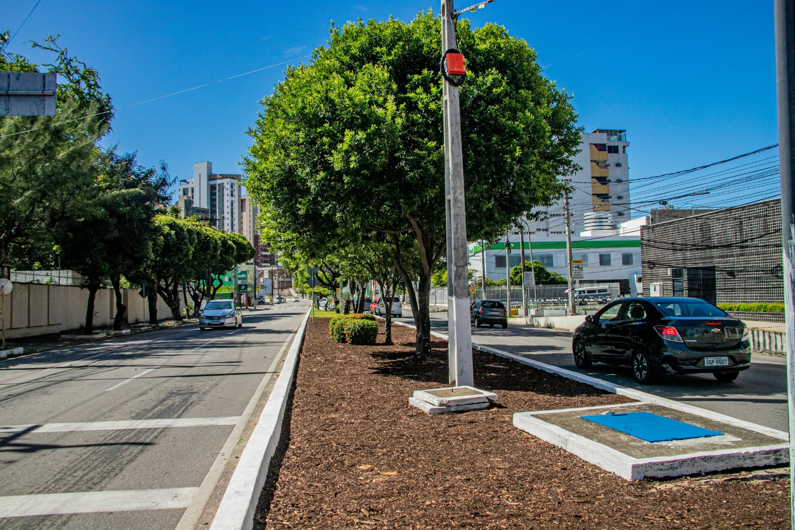 Semsur utiliza compostagem na revitalização de canteiros de Natal